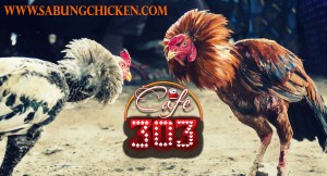 Sabung Ayam Online Bonus Jutaan
