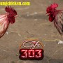 Bandar Sabung Ayam Online