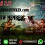 Sabung Ayam Online 2