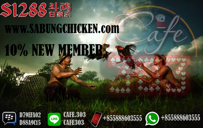 Sabung Ayam Online 2